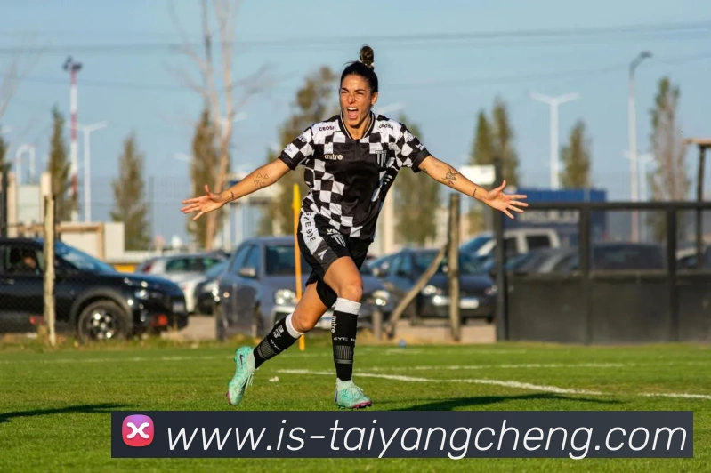 澳门太阳城官网平台生态图